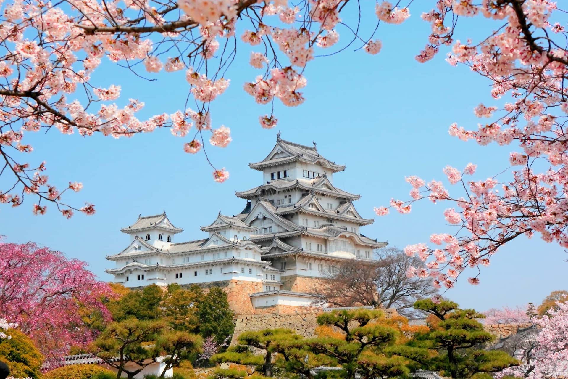 japan placeholder